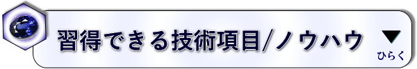 習得できる技術やノウハウ一覧